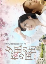 Town of Evening Calm, Country of Cherry Blossoms 2018 Japanese Drama photo