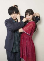 Nisekoi: False Love Japanese Movie photo