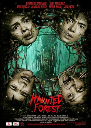 Haunted Forest (2017) poster