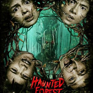 Haunted Forest (2017)