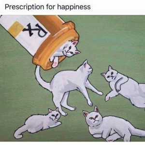 Kamisama no Boto  (2013)