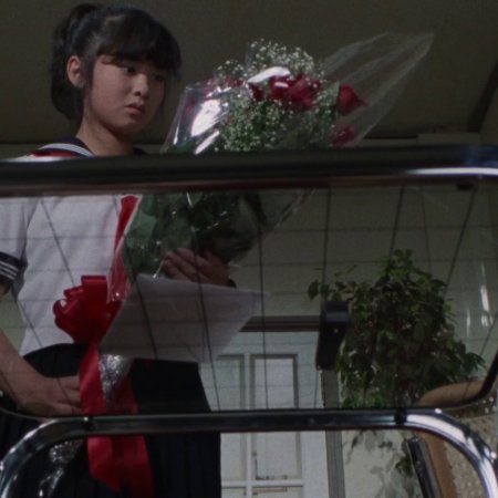 Sukeban Deka (1985)