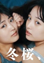 Fuyu Sakura, Shunsetsu Japanese Drama(2026) photo