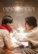 Still Shining Korean Movie(2026) photo