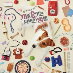 How to Steal a Dog Korean Movie photo