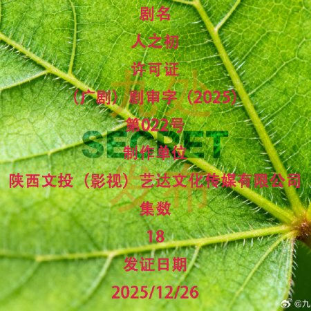 Light of Dawn (2025)