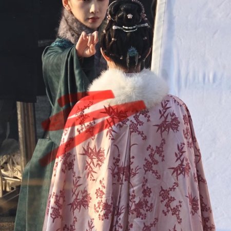 A Ming Dynasty Adventure ()