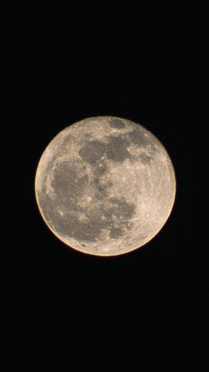 yueliangdaibiaowodixin