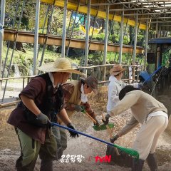 GBRB: Farm Operation - Go Go Farm Korean TV Program(2026) photo
