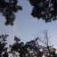 Suzhaizhai