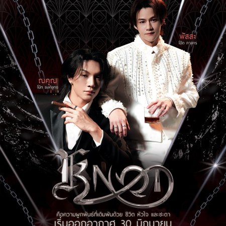 Knot (2026)
