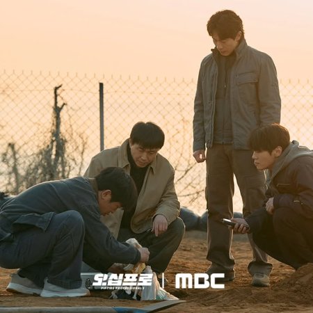 Fifties Professionals (2026)