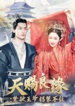 Tian Ci Liang Yuan: Jin Yu Wang Ye Zhao Jia Bu Zhu Chinese Drama photo
