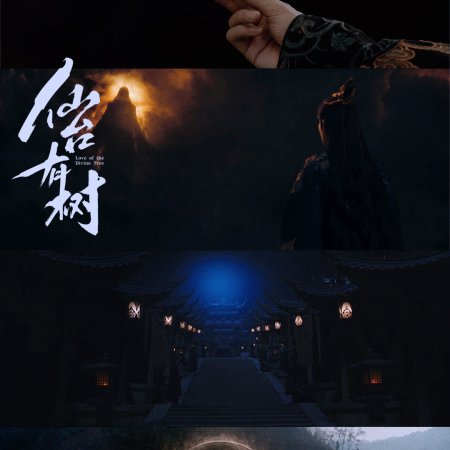 Love of the Divine Tree (2025)