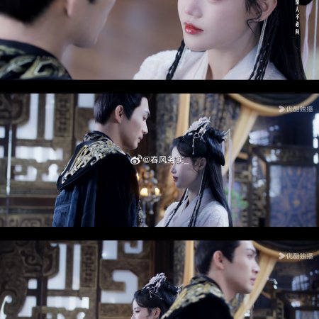 The Blossoming Love (2025)