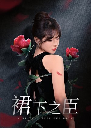 Minister under the Dress (2025) poster