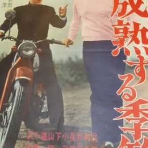 Seijuku Suru Kisetsu (1964)