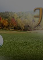 Mr. Pink Korean Drama photo