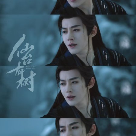 Love of the Divine Tree (2025)