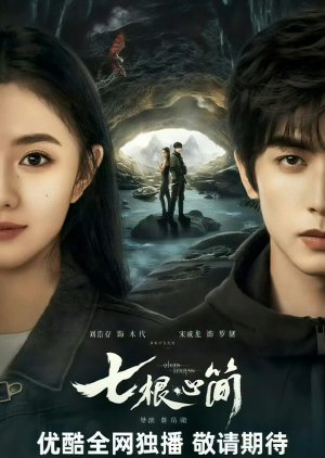 The Seven Relics of Omen () poster