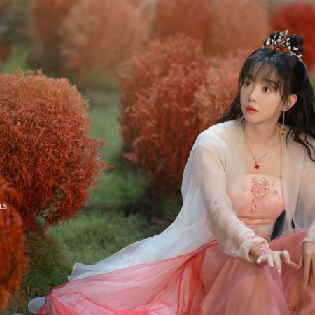 Love Never Fails (2025)