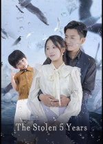 The Stolen 5 Years Chinese Drama photo