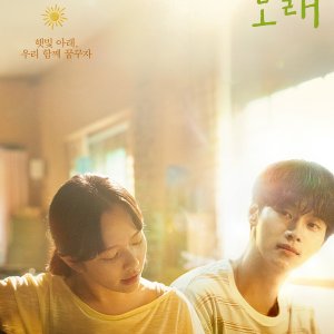Midnight Sun (2025)