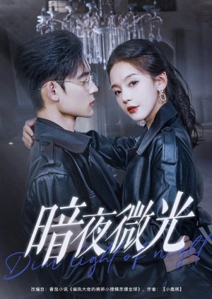 Dim Light of Night (2025) poster
