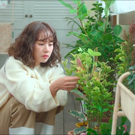 Second Shot at Love (2025)