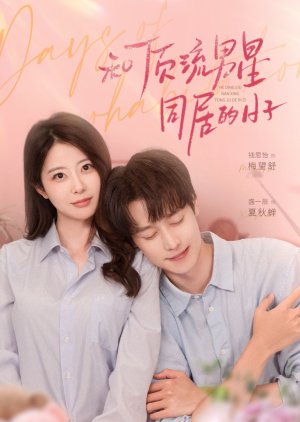 Days of Cohabitation (2025) poster