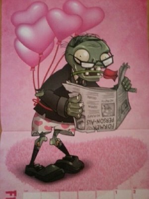 BoggyToeNutz
