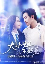 The Young Lady Is Not to Be Trifled with and the Kyoto Bamboo Horse Is to Protect Her Chinese Drama(2025) photo