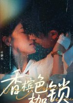 Xiang Bin Se Jia Suo Chinese Drama(2025) photo