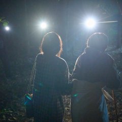 The Ugly Korean Movie(2025) photo