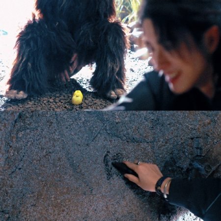 The Seven Relics of Ill Omen (2025)