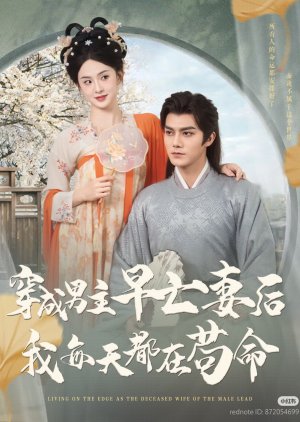 Living on the Edge as the Deceased Wife of the Male Lead (2025) poster