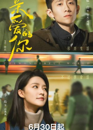 The Wonderful World poster
