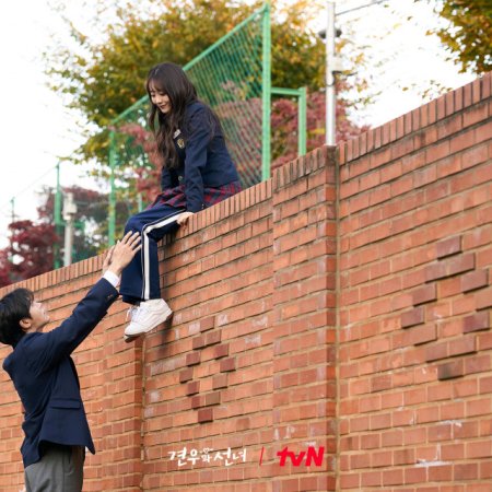 Head over Heels (2025)