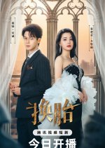 The Switch Chinese Drama(2025) photo