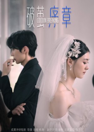 Cocoon Breaking (2024) poster