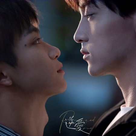 Revenged Love (2025)