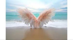 beachangelbaby
