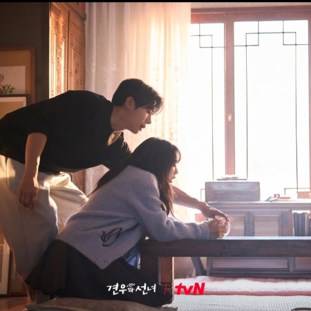 Head over Heels (2025)