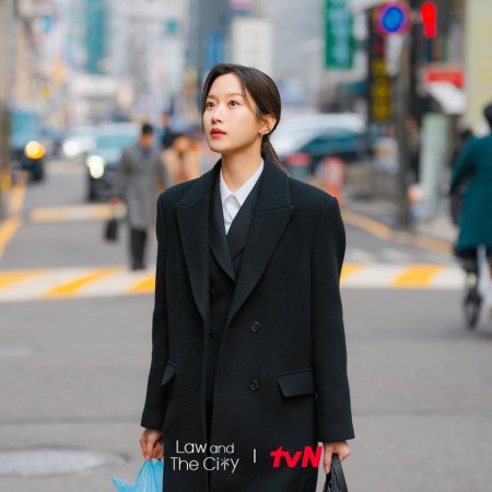 Law and the City (2025)