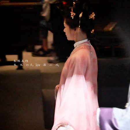 Liang Chen Mei Jin ()