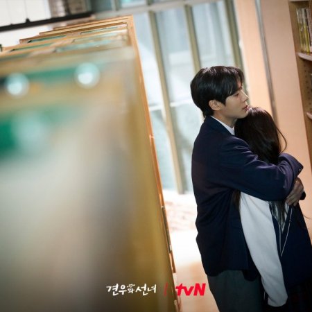 Head over Heels (2025)