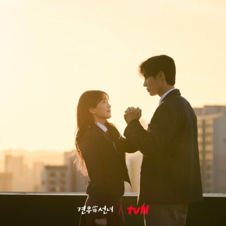 Head over Heels (2025)