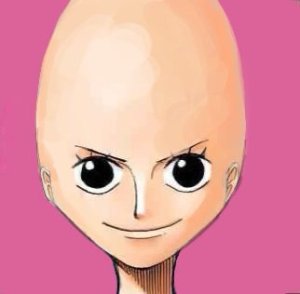 13650166