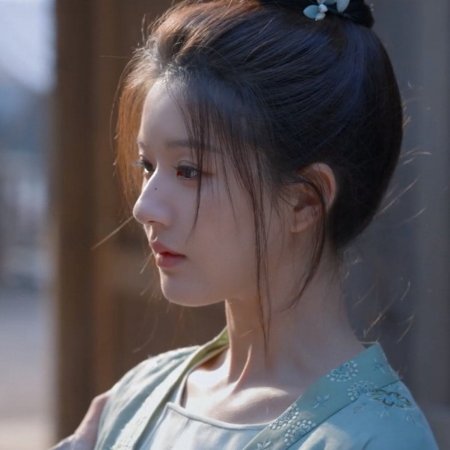 Zhao Lu Si