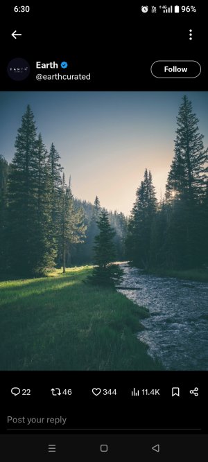 Nature